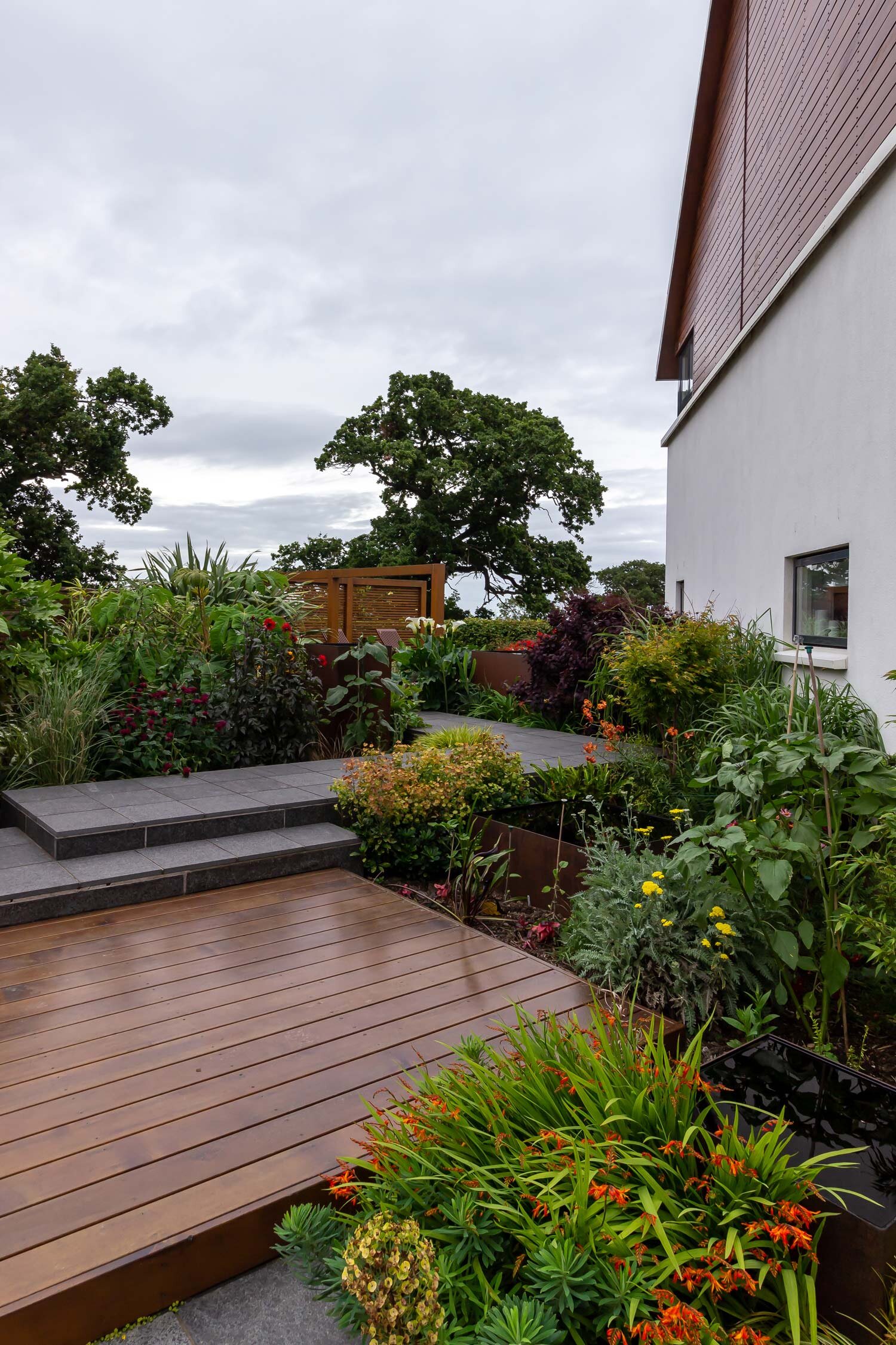 Cedar Deck and Basalt Paving feature in the Edinburgh Garden Design
