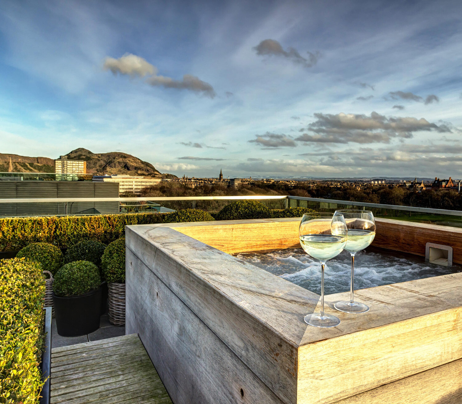 Design for an Edinburgh Roof Garden with views to Arthur's Seat