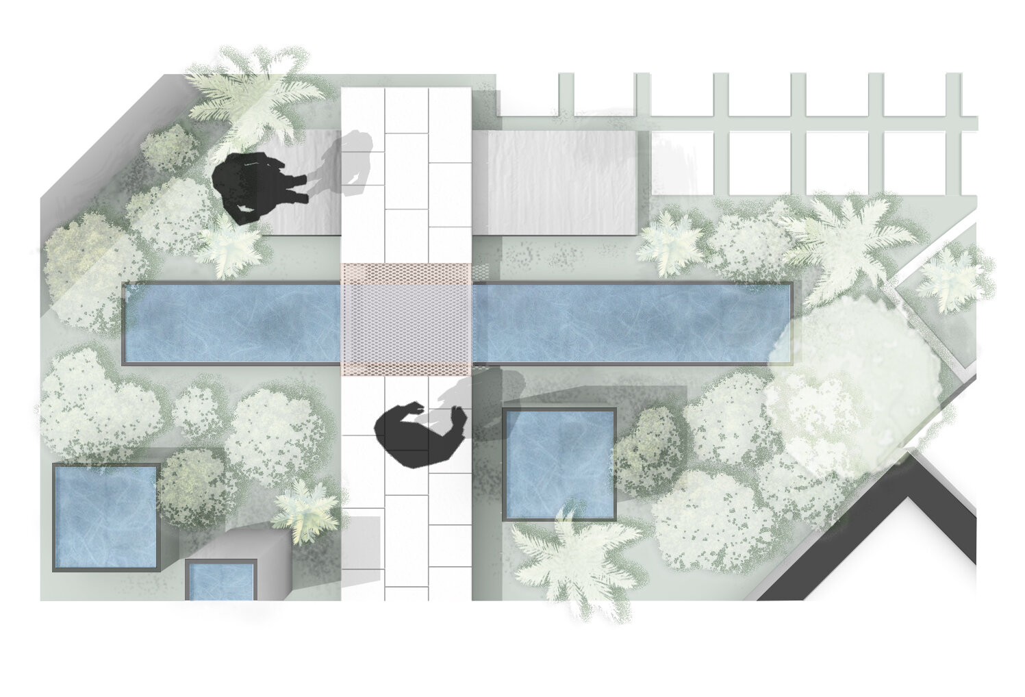 Garden Design Plan for Edinburgh Jungle Garden