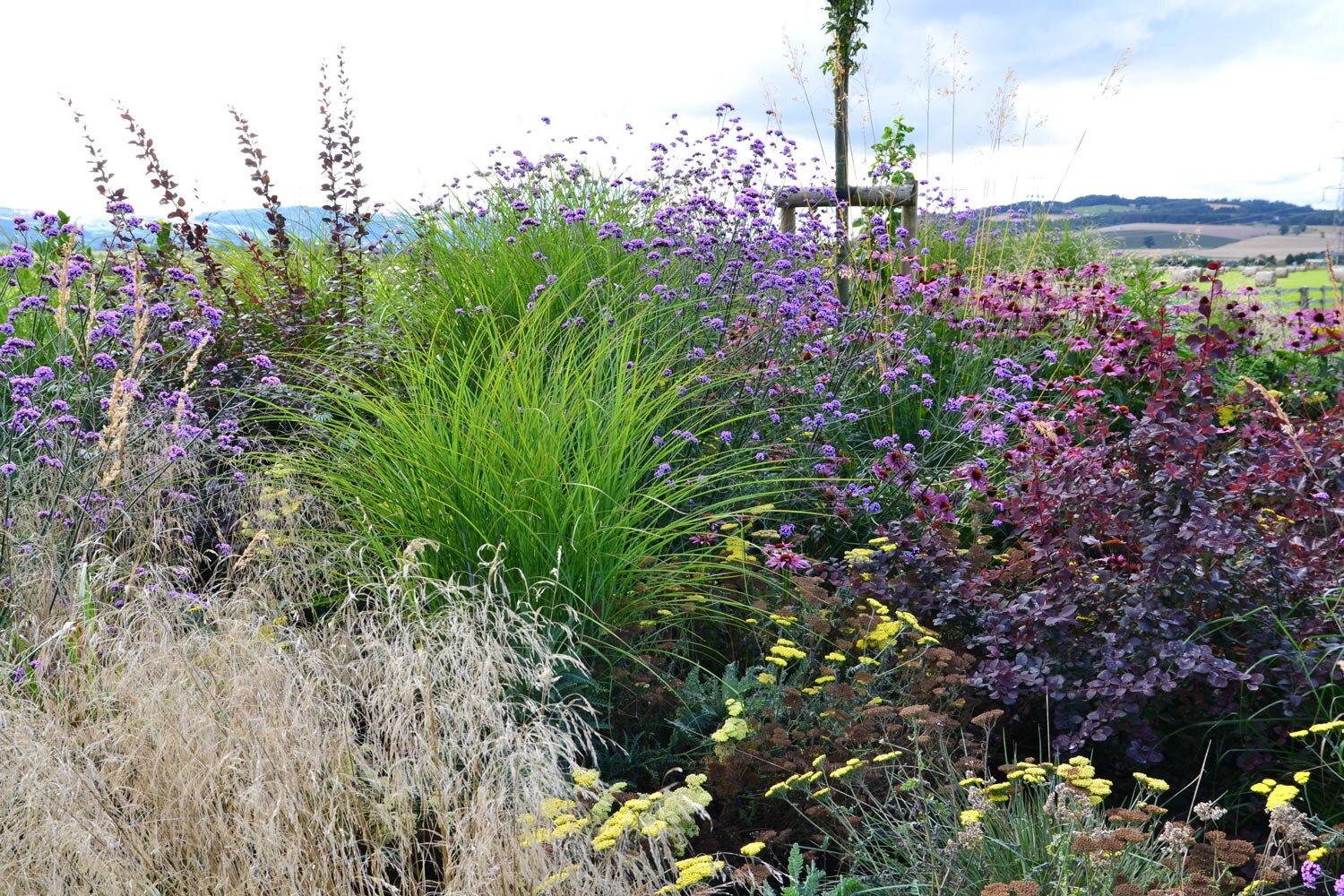 Planting Design Perthshire