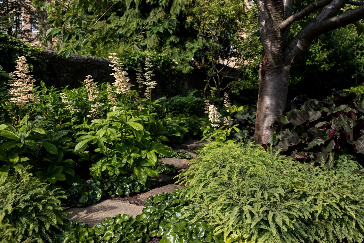 Woodland-Planting-Design-Edinburgh.jpg