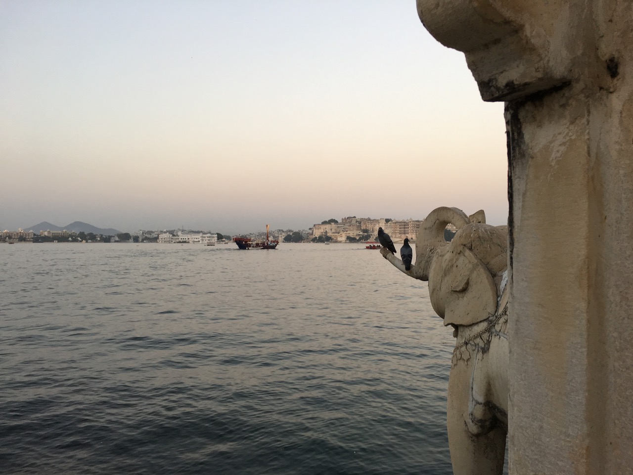 IMG_9692.jpeg