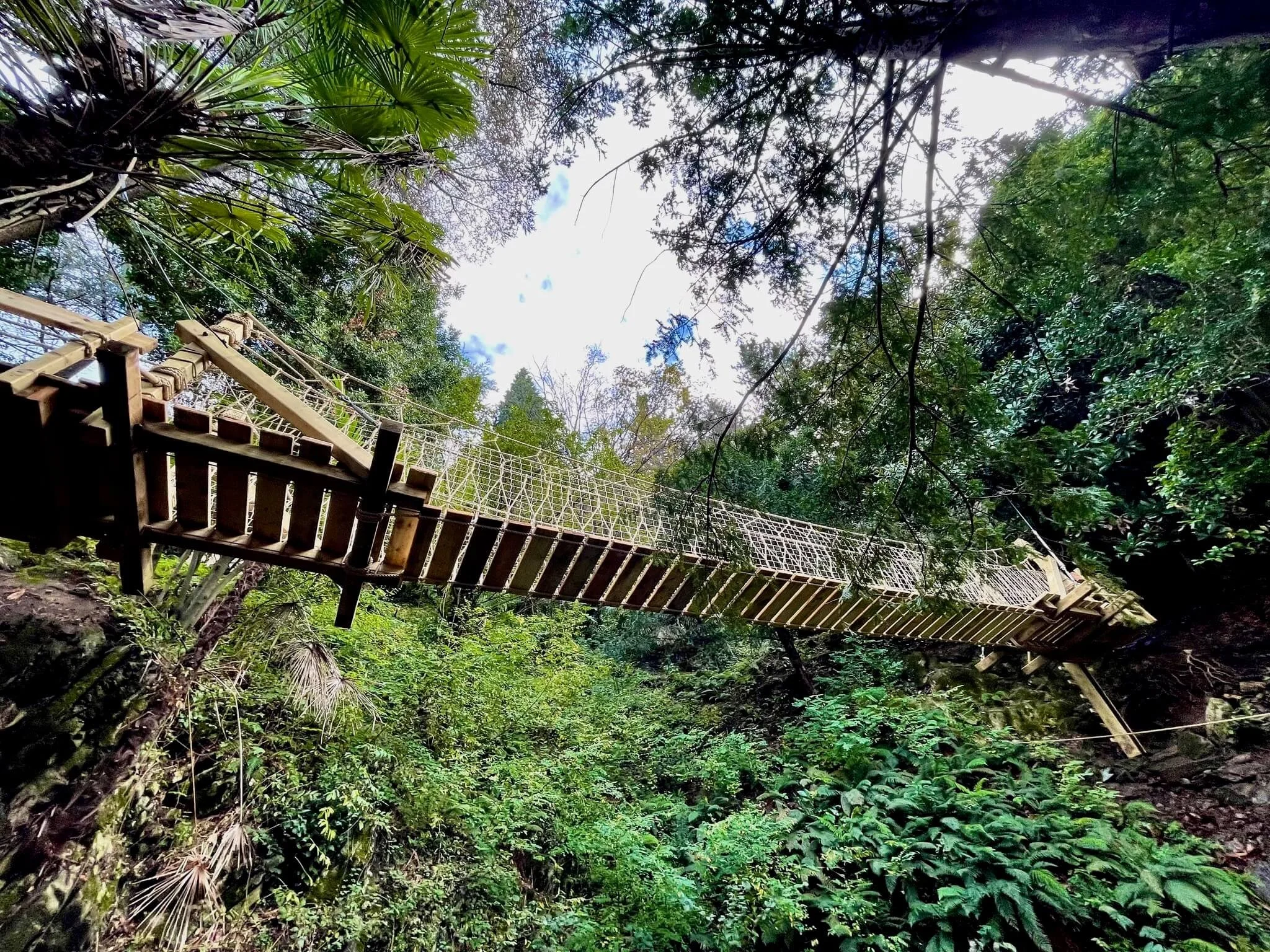 Rope Bridge Projects - UK and Worldwide - Design and Install