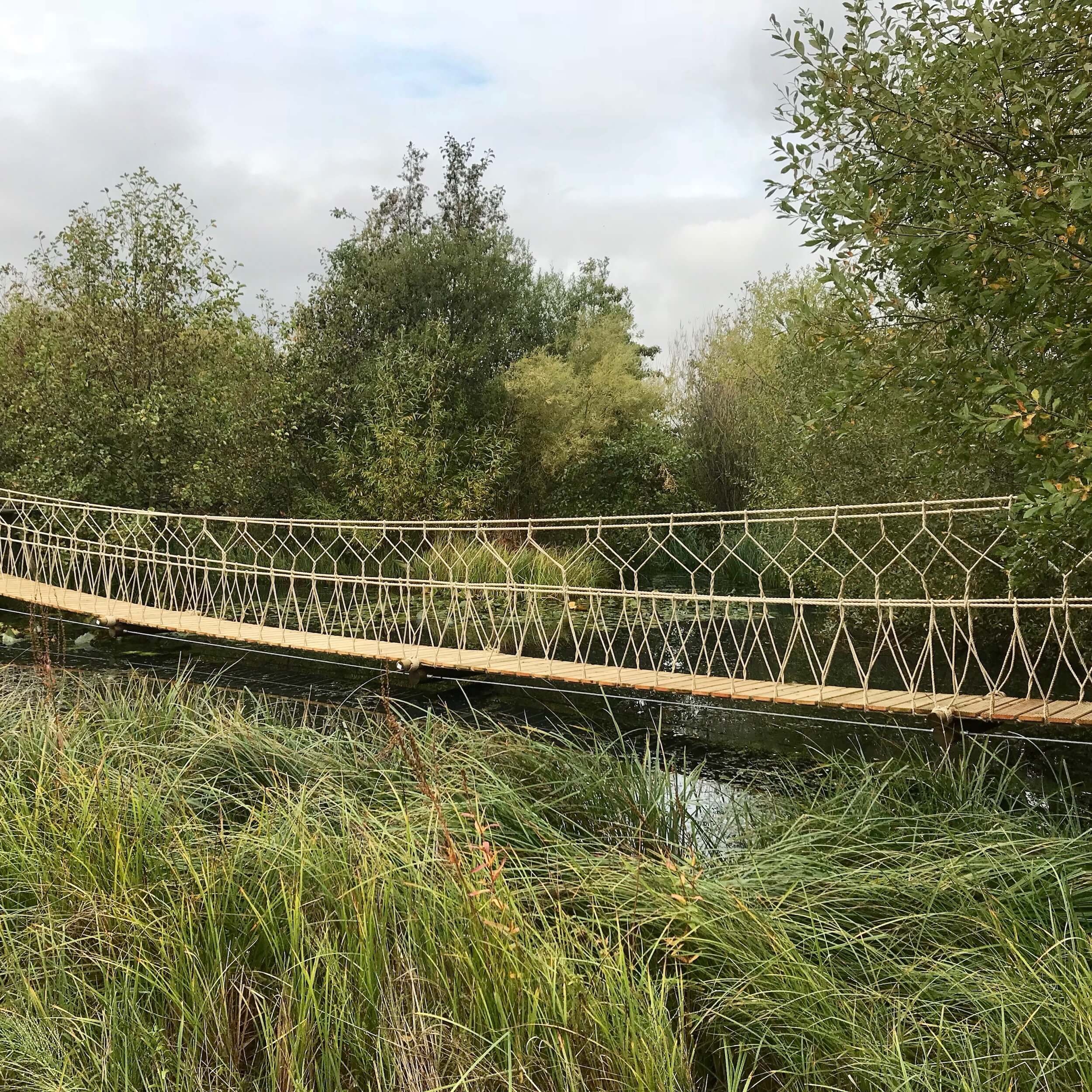 London-Wetlands-Centre-Wild-Walk-Rope-Bridge.jpeg