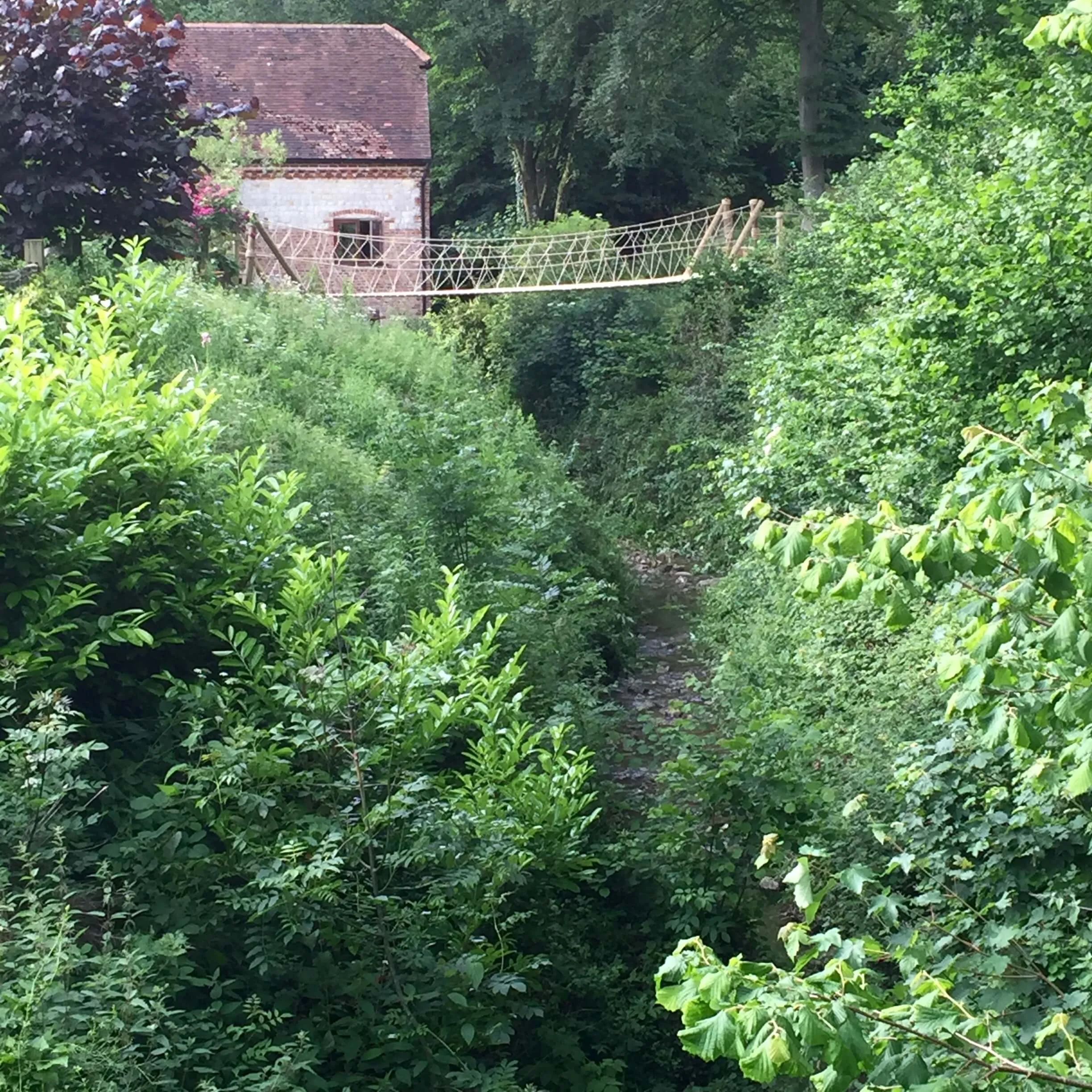 Rope Bridge projects - UK and Worldwide - Design and Install