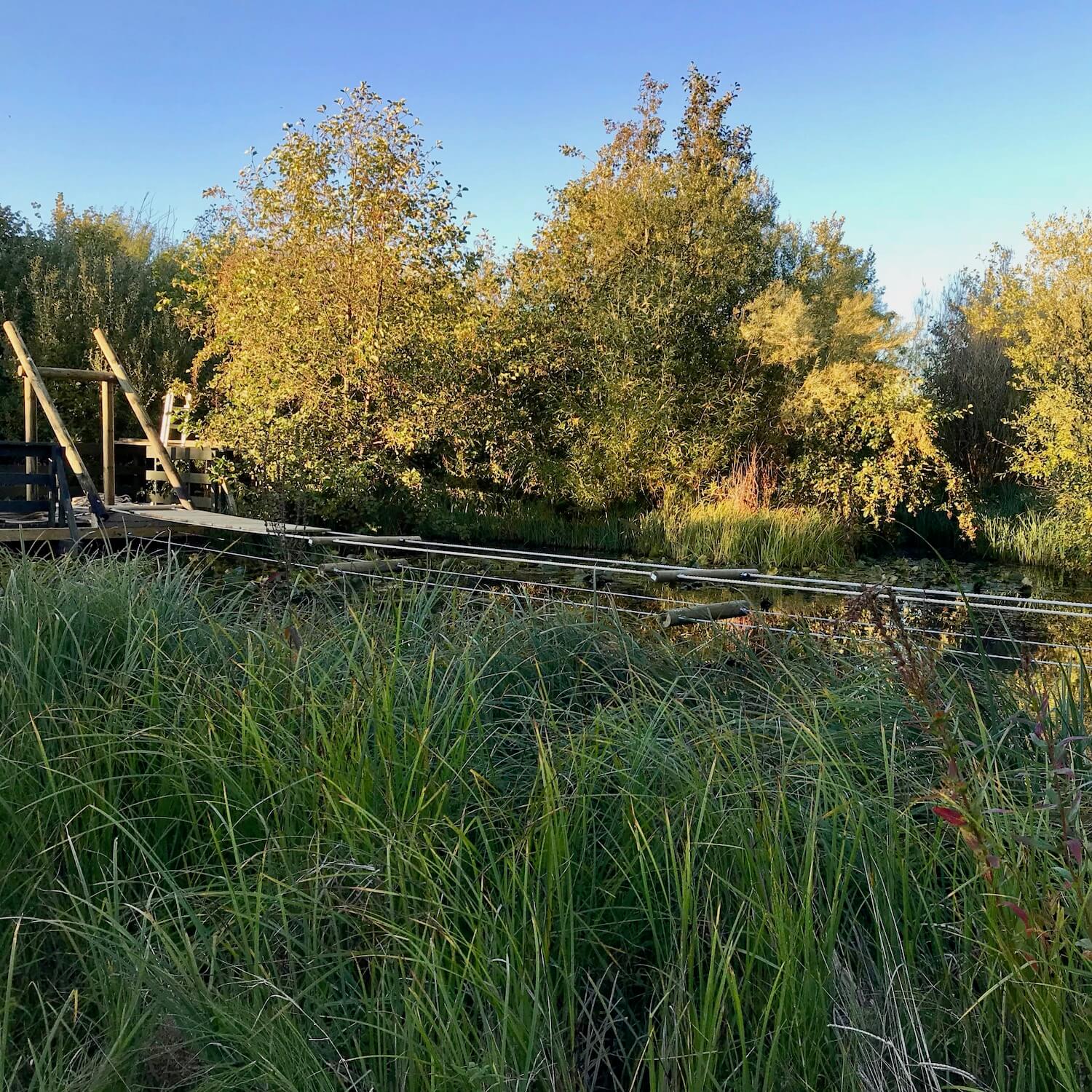 Rope Bridge deck walkway over a lake