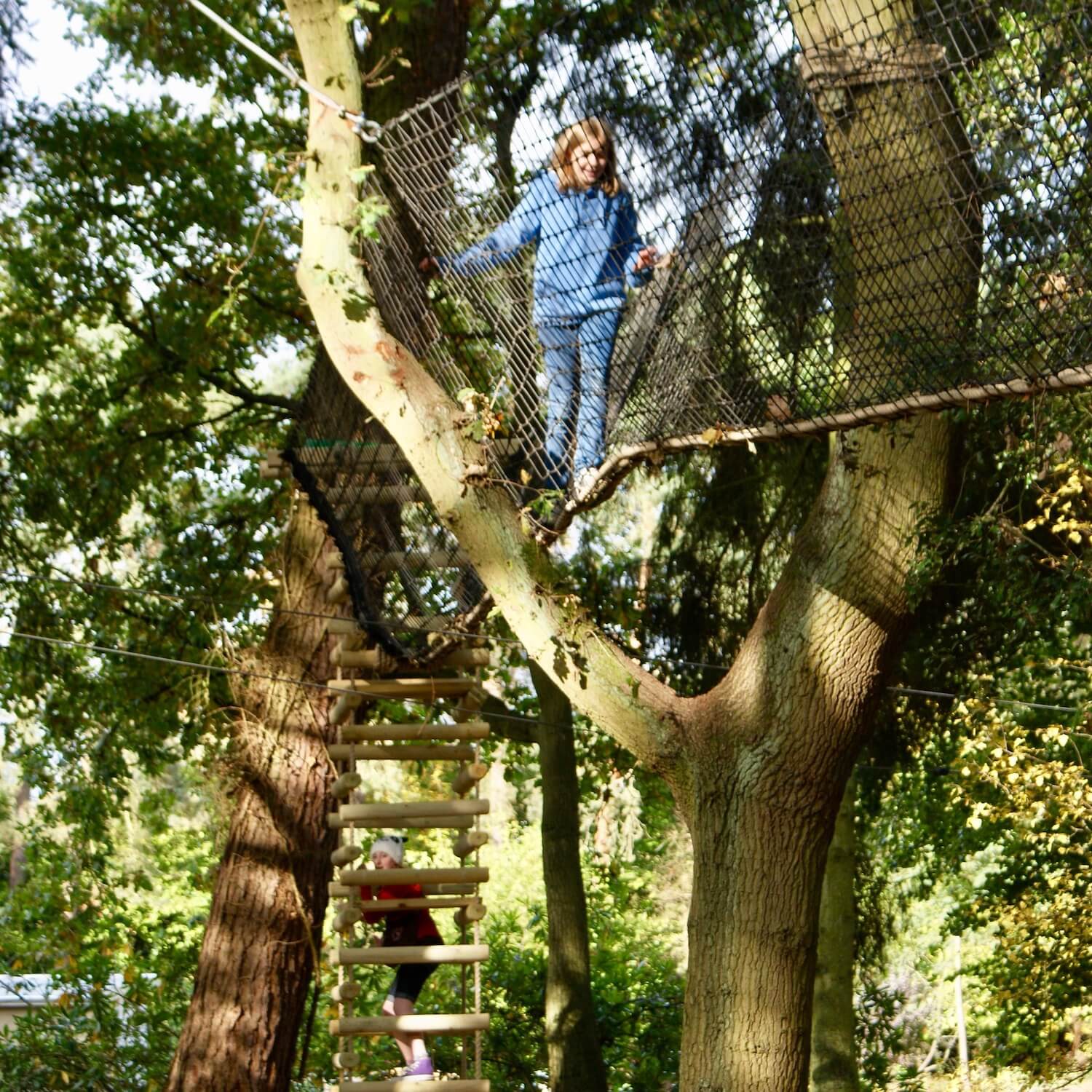 Tree Canopy Walkway...