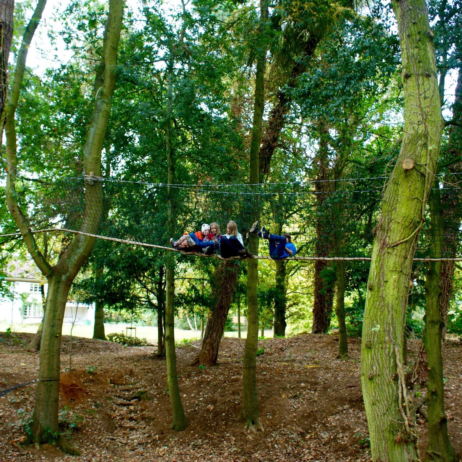 Tree Trail...