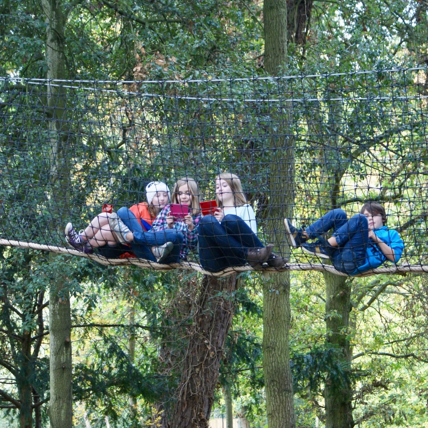 Tree-canopy Walkway...