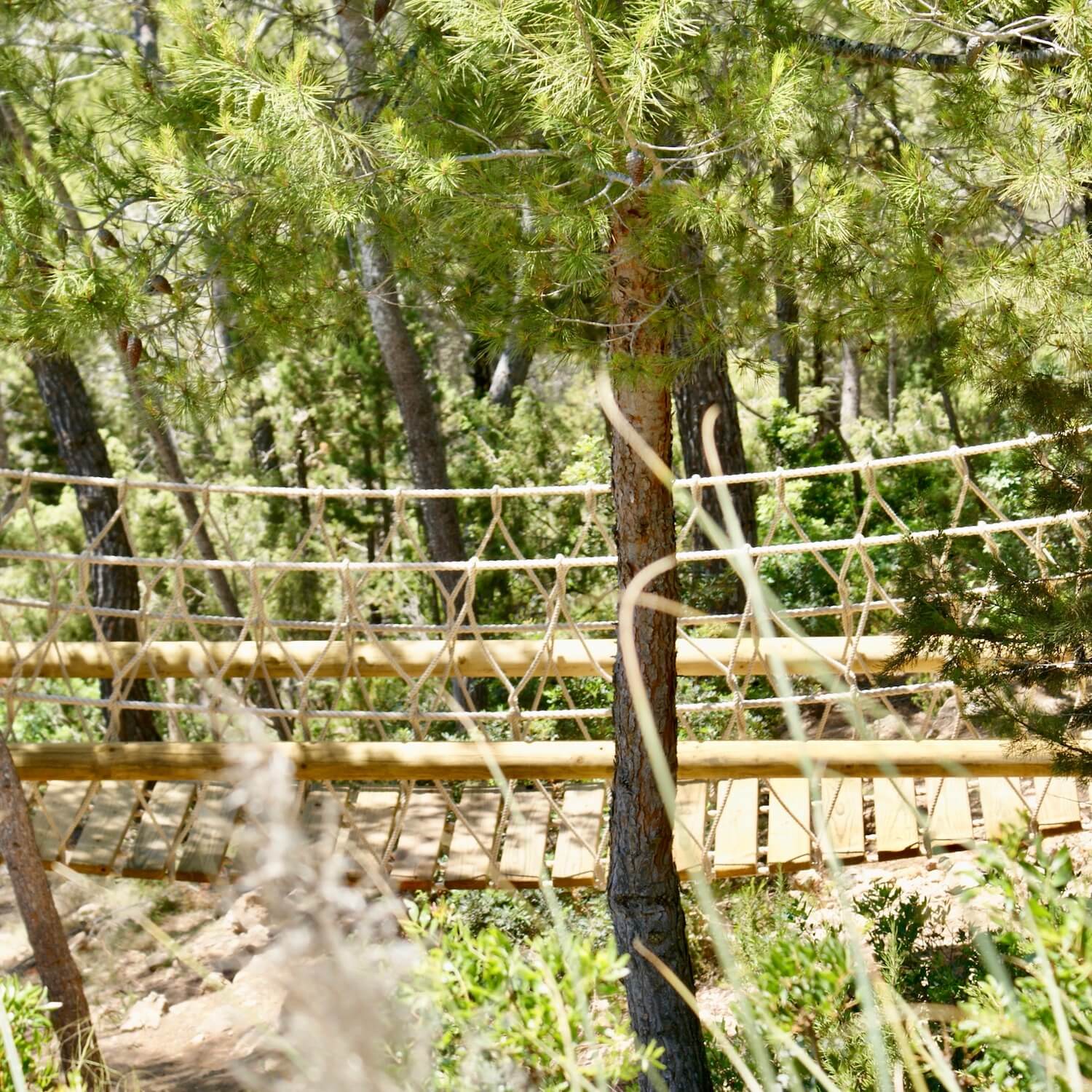 Fixed-Beam-Rope-Bridge-by-Treehouse-Life-Ltd-in-Ibiza-platform-stairs-to-treehouse.jpeg