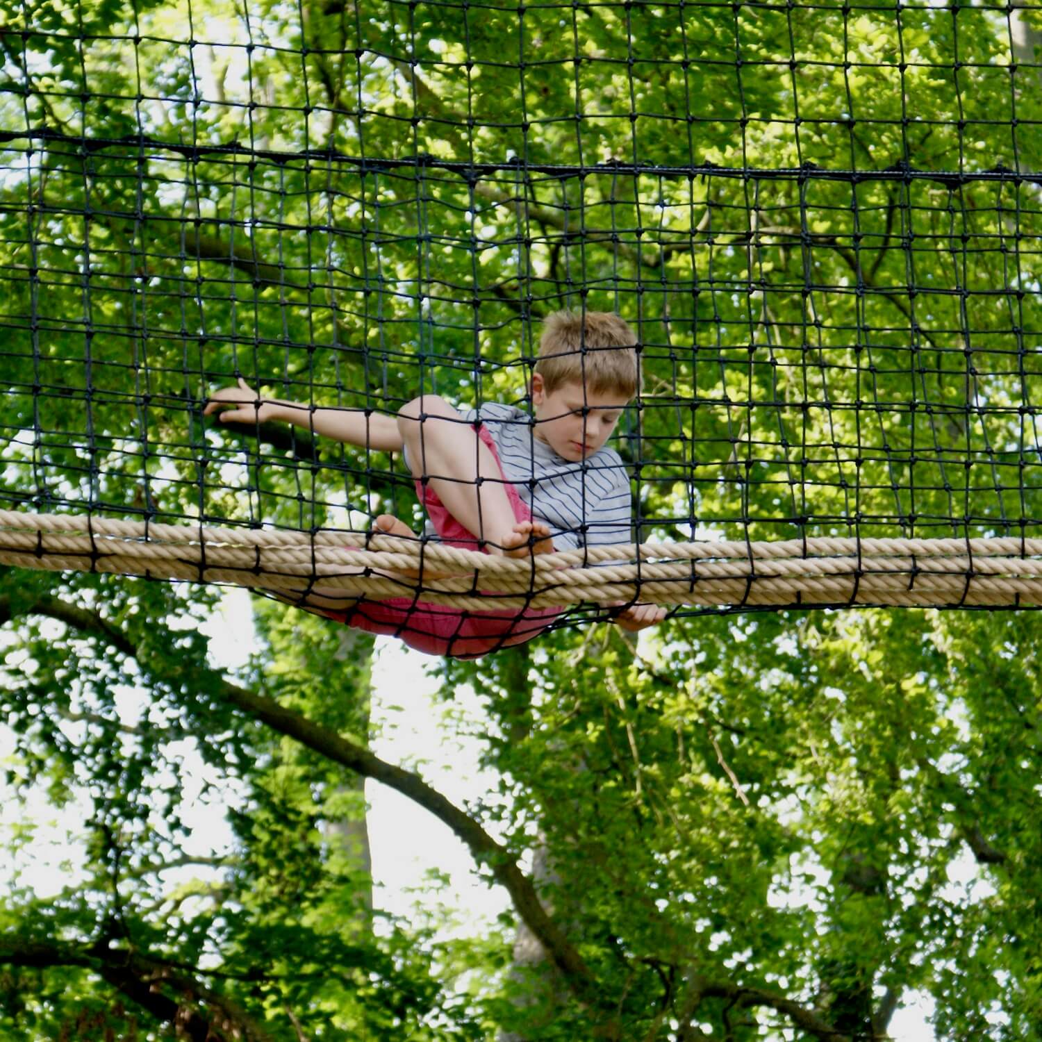 Hanging out in the woods with a Tree-top Walkway.jpeg