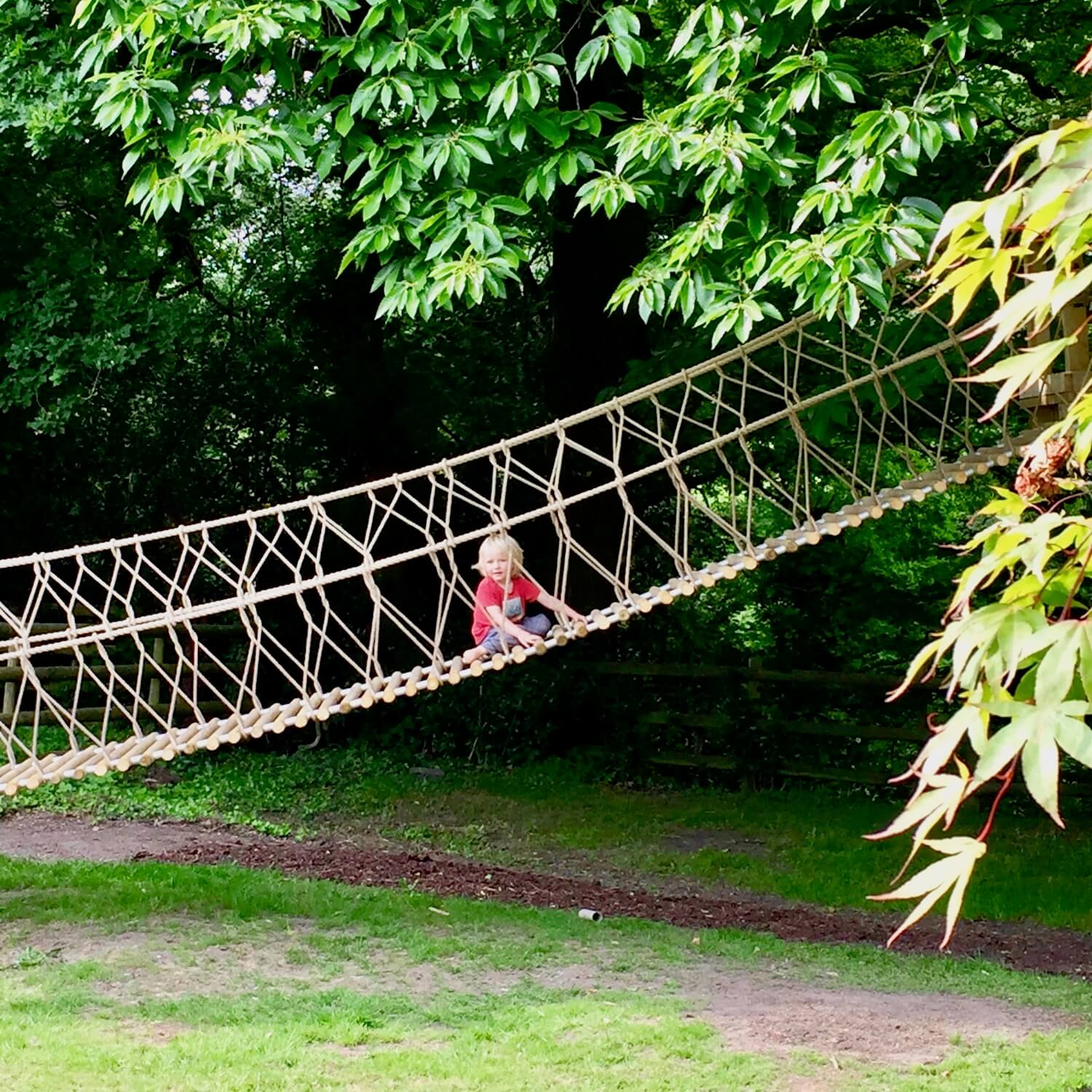 Log-Rope-Bridge-by-Treehouse-Life-Ltd-child-on-logs.jpeg