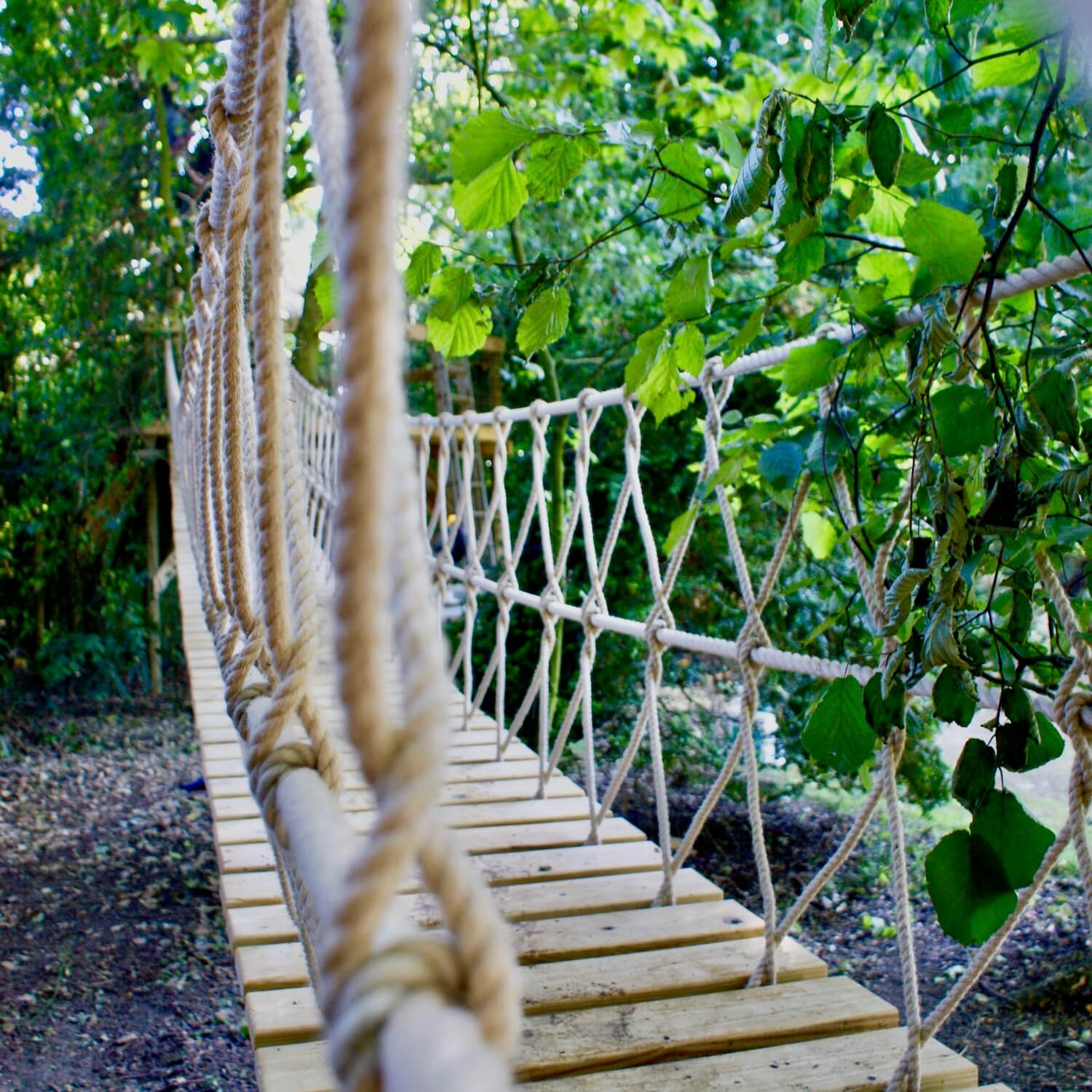 Rope-Bridge-and-rope-work-by-Treehouse-Life-Ltd.jpeg