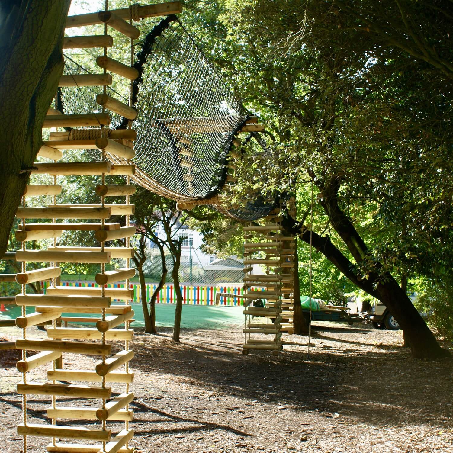 Treetop Walkway — Rope Bridge projects - UK and Worldwide - Design and  Install