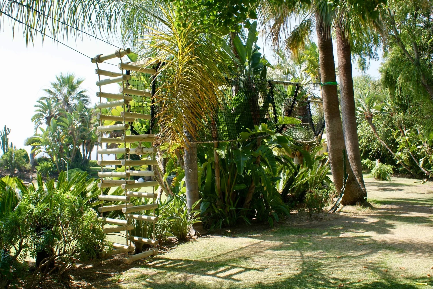 Treetop Walkways | Explore Nature — Experience Treetop Walkways — Rope ...