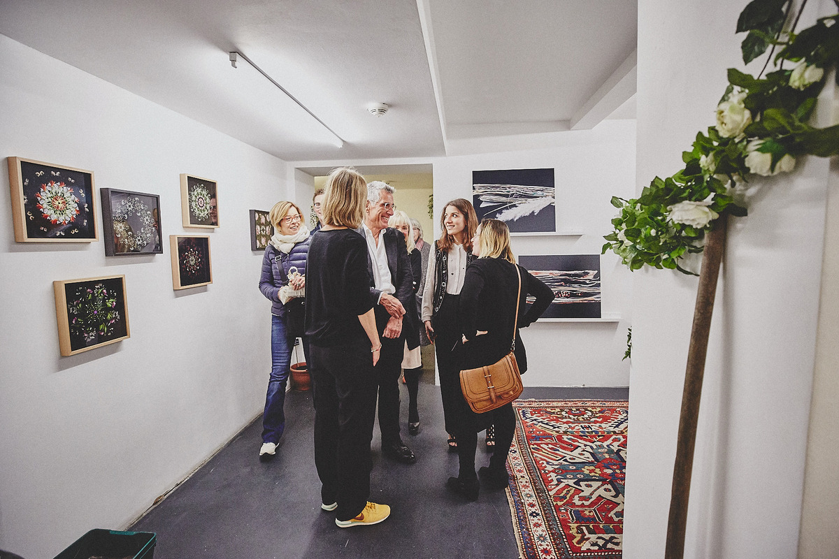 heliumcowboy_vernissage_bogusbotanical_032017-025.jpg