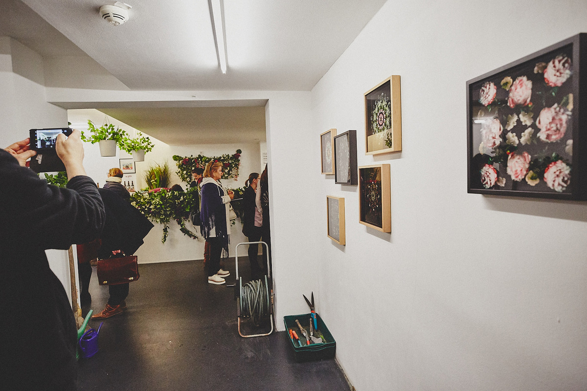 heliumcowboy_vernissage_bogusbotanical_032017-125.jpg