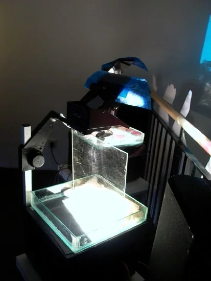 l1010336.jpg