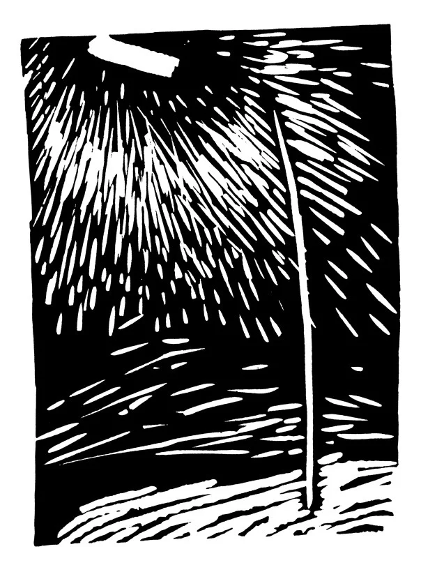 ls_011.jpg