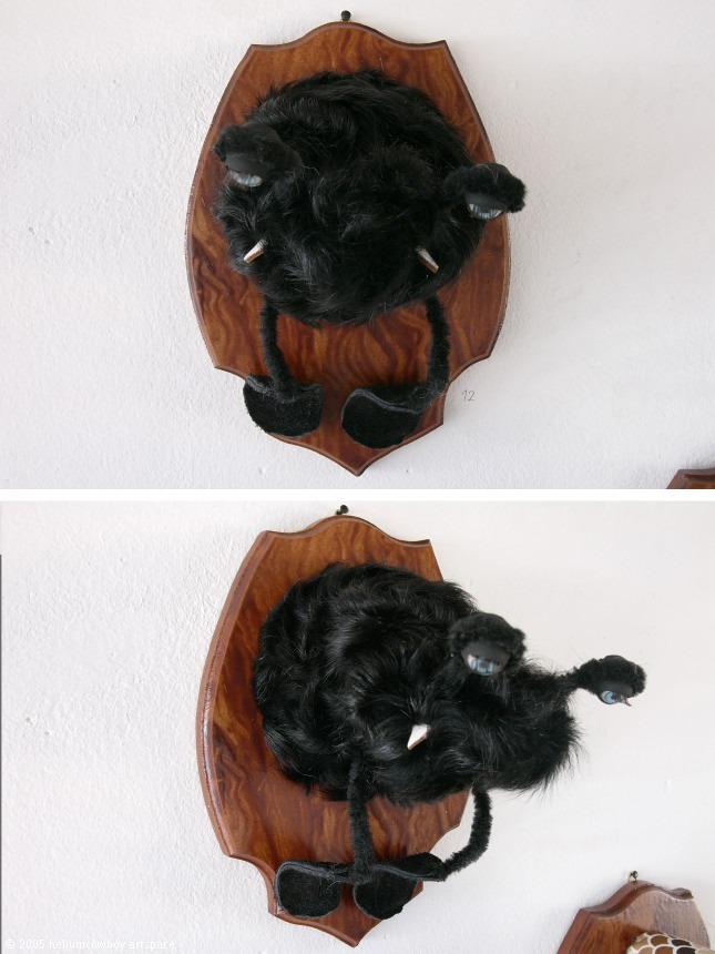 moki_012f.jpg