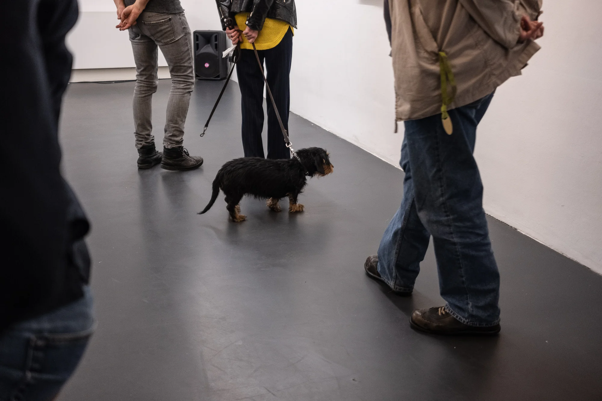 181019_JENS-RAUSCH_BERGEN_VERNISSAGE_2477.jpg