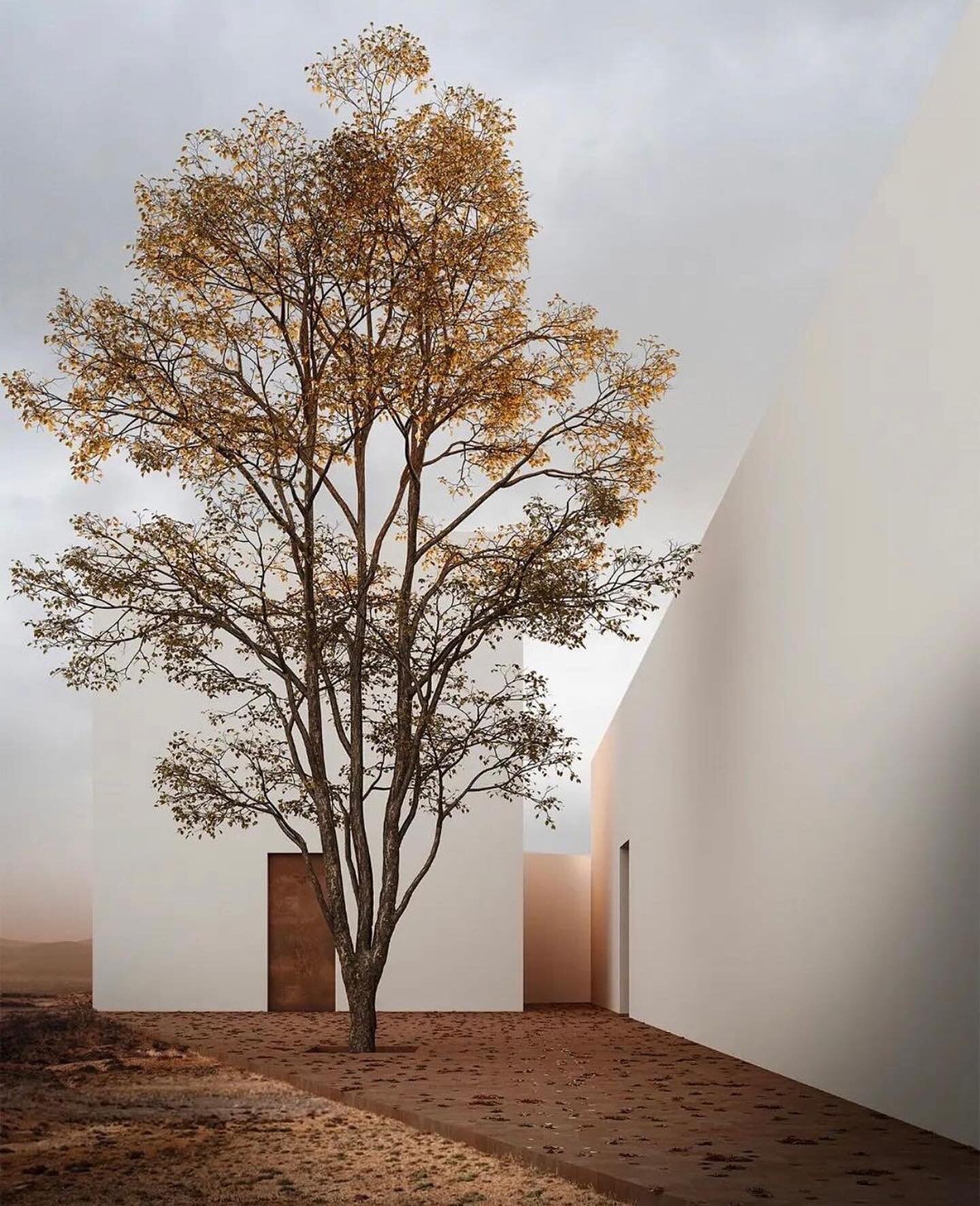 &ldquo;Simplicity is the ultimate sophistication.&rdquo; &ndash; Leonardo da Vinci.
.
Casa del Abuelo project by @hwstudioarq