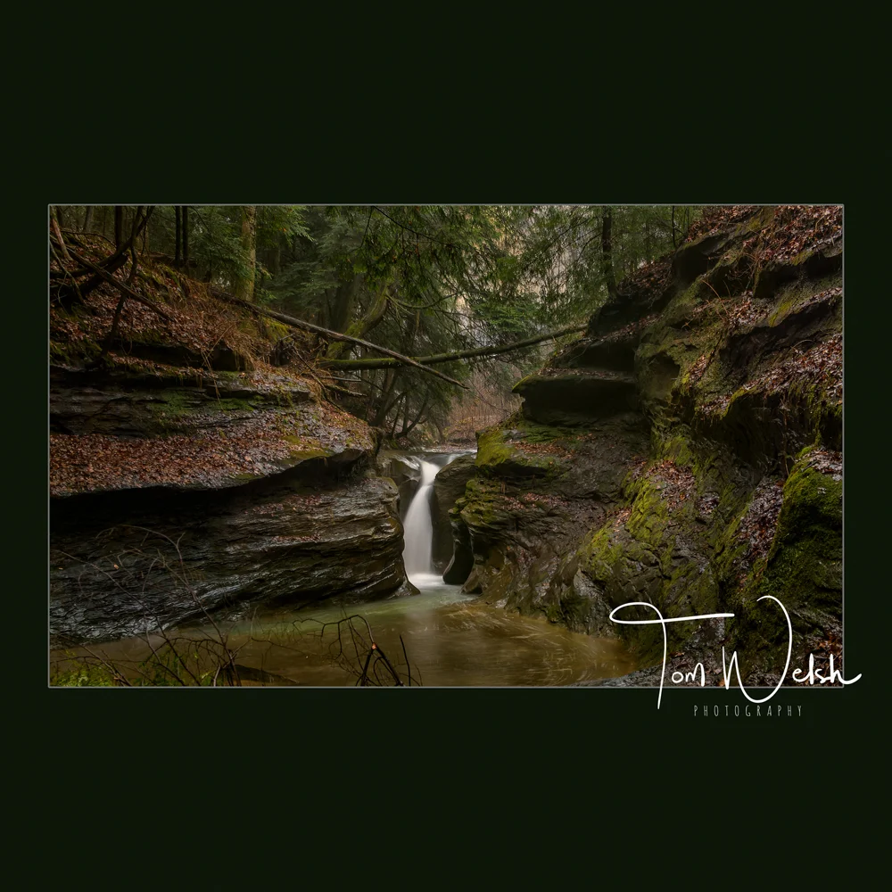 Robinson Falls