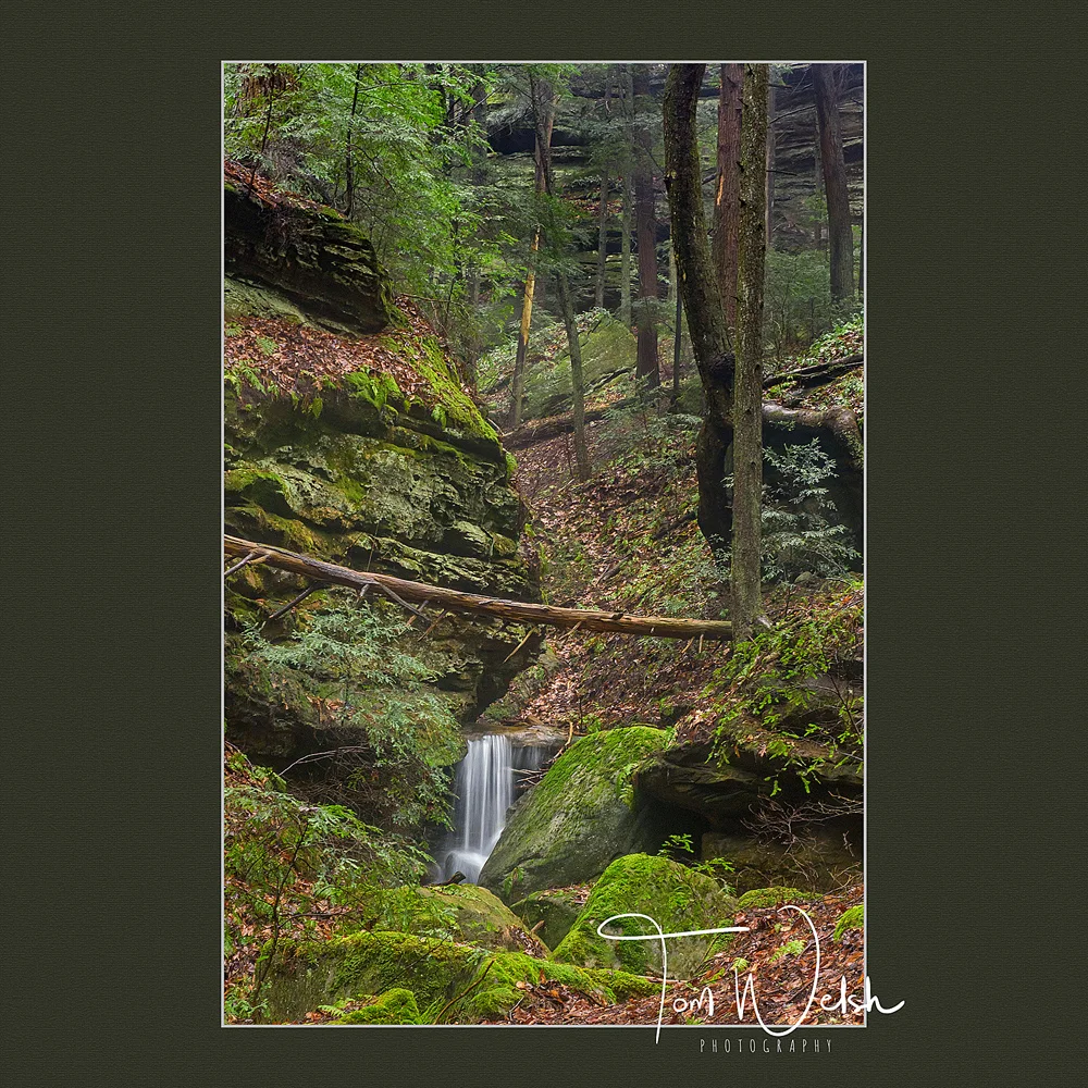 along the hike to Long Hollow Falls