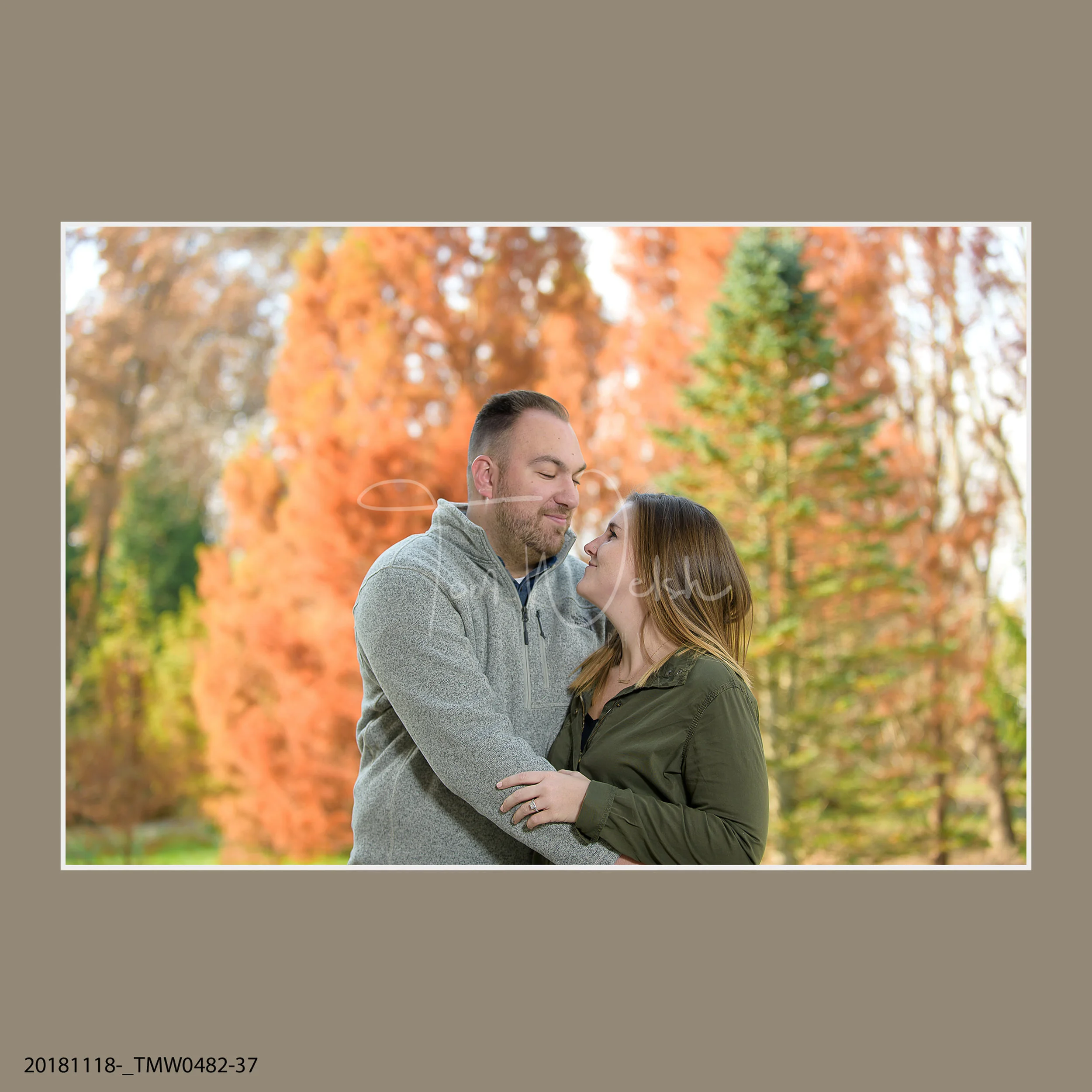 20181118-_TMW0482-37.jpg