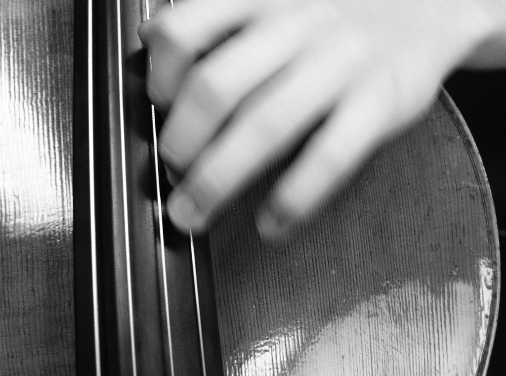 Your hand can be fuzzy but your intonation can’t.