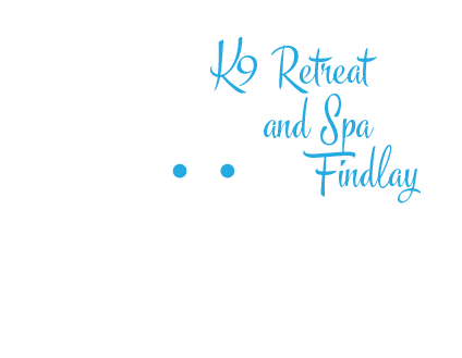 K9 Retreat and Spa Findlay