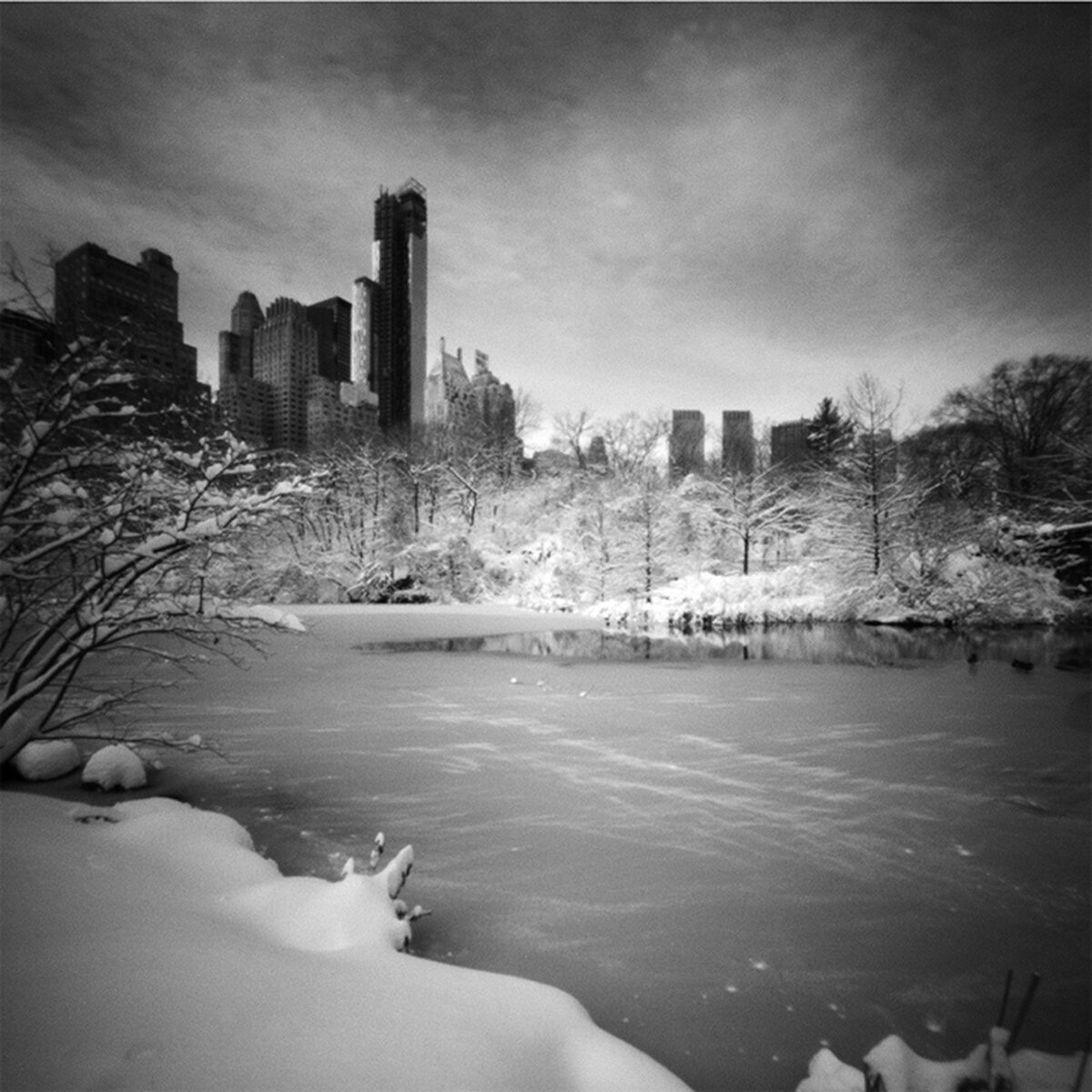   Central Park Snow 1 , 2014 