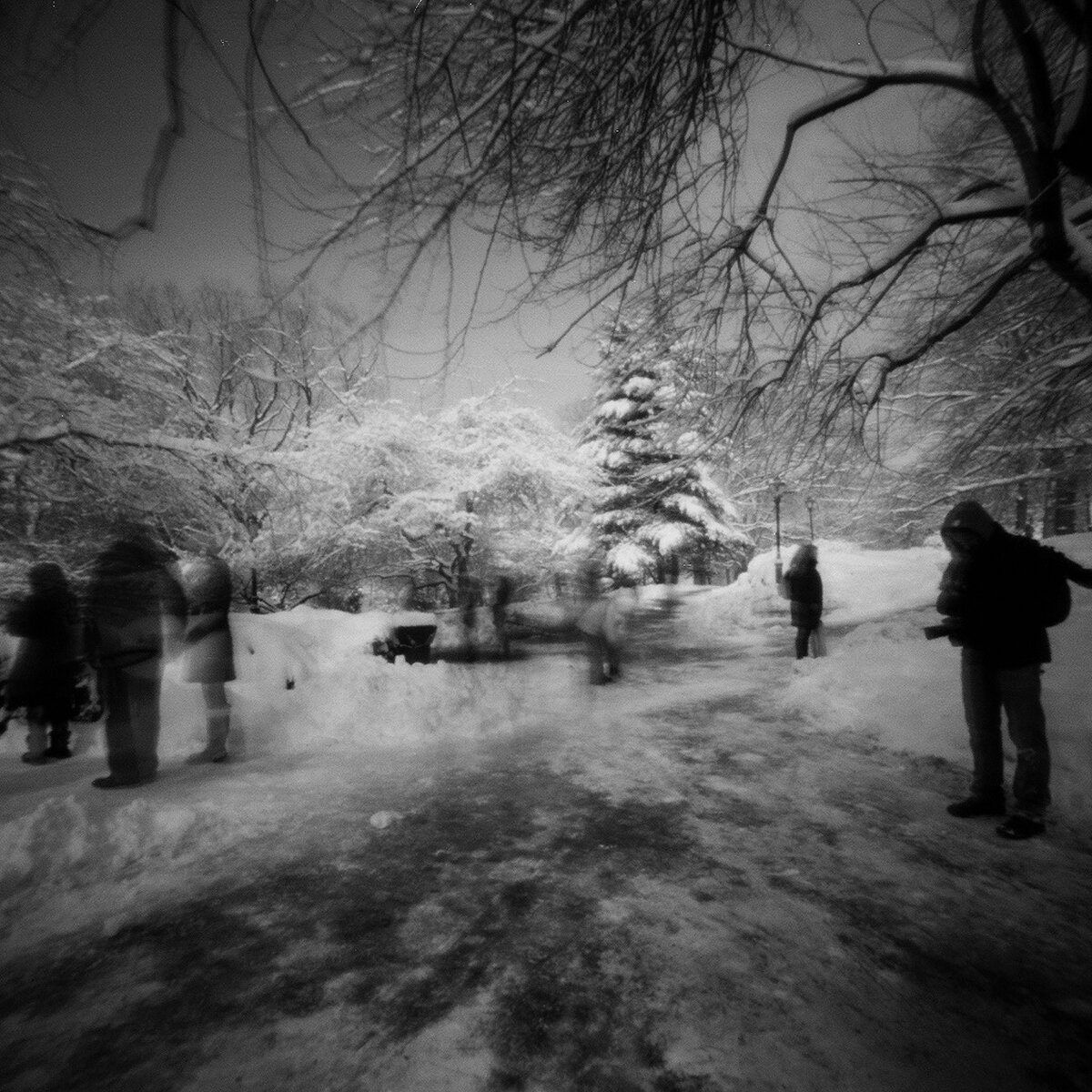   Central Park Snow 2 , 2014 