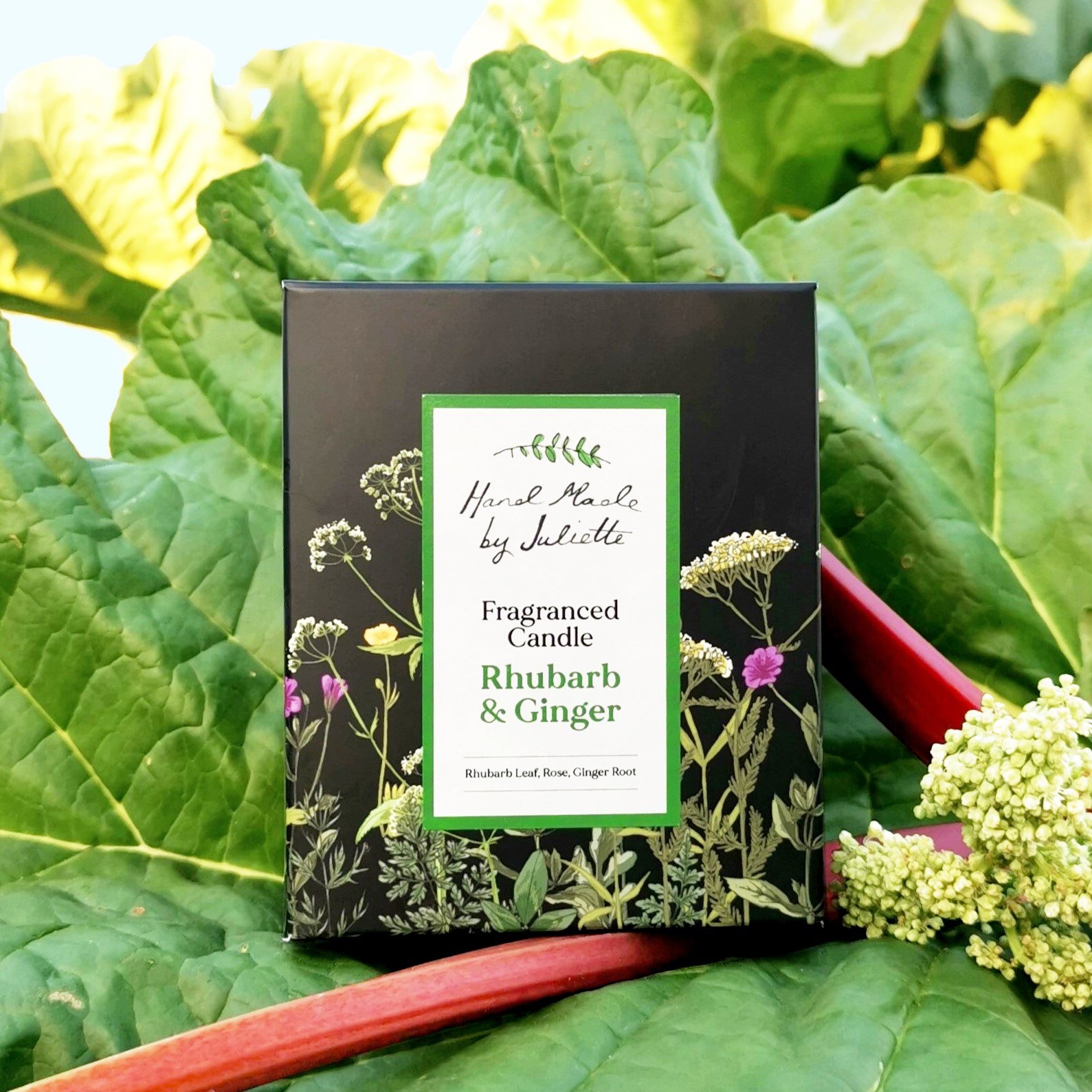 RhubarbGingerCandleBoxSq.jpg