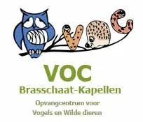 voc.jpg
