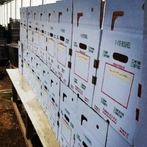 Produce ready to ship fresh from the farm
