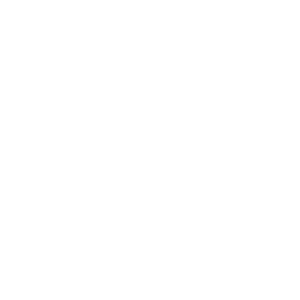 trion-logo.png