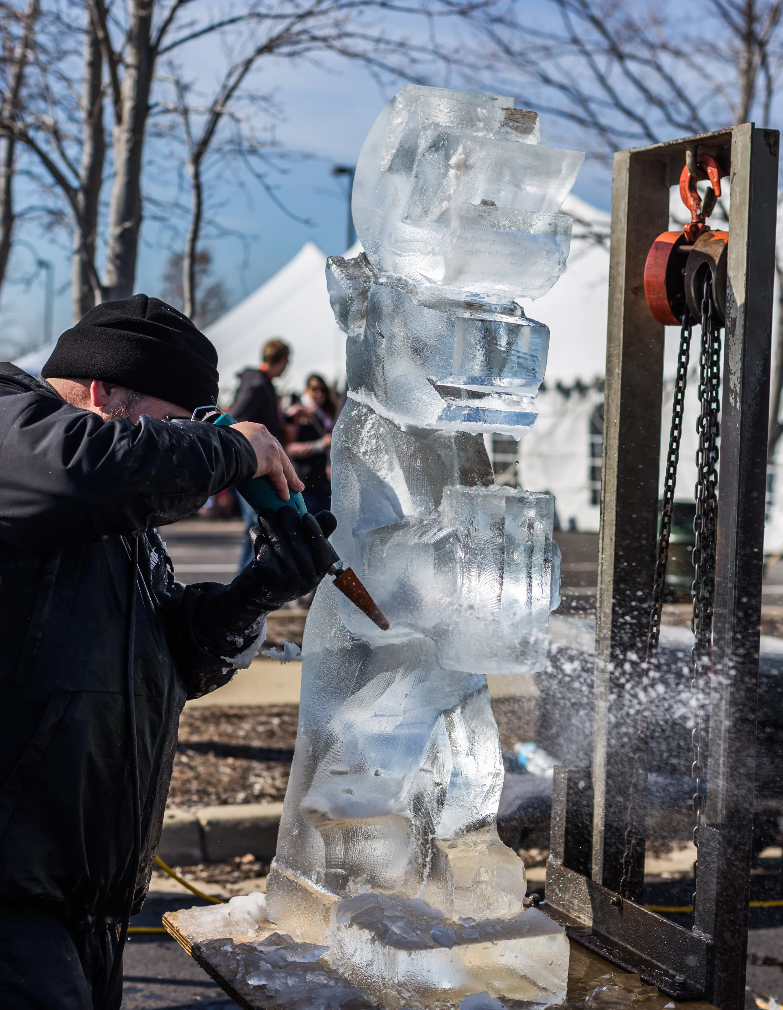 Naperville Winter Ale Fest-52.jpg
