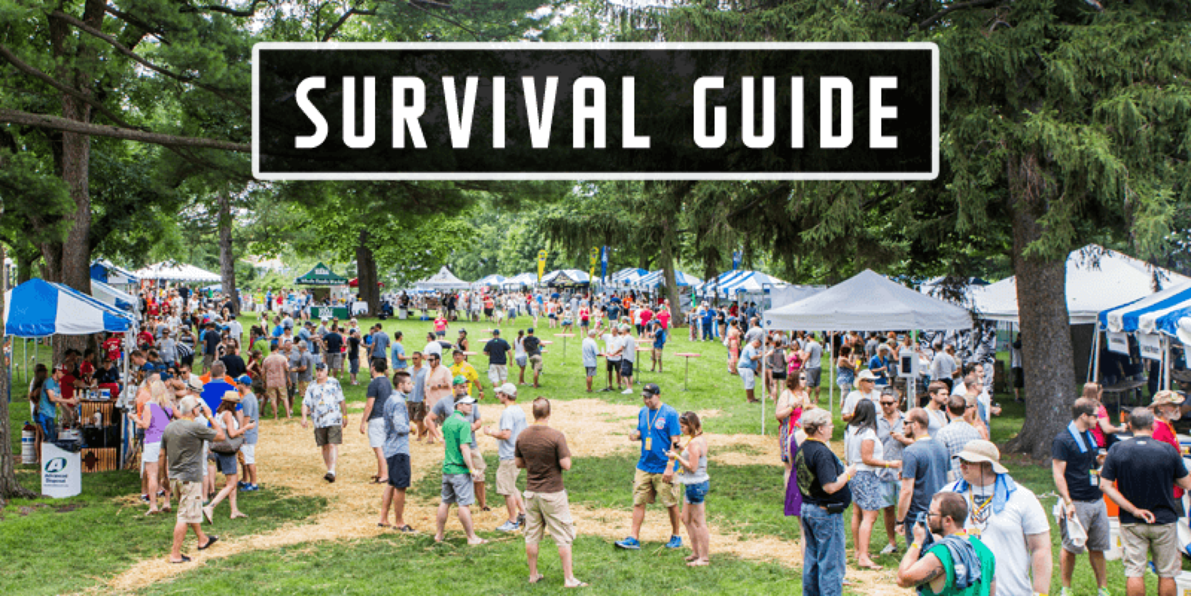 Top 10 Tips for Surviving the Naperville Ale Fest