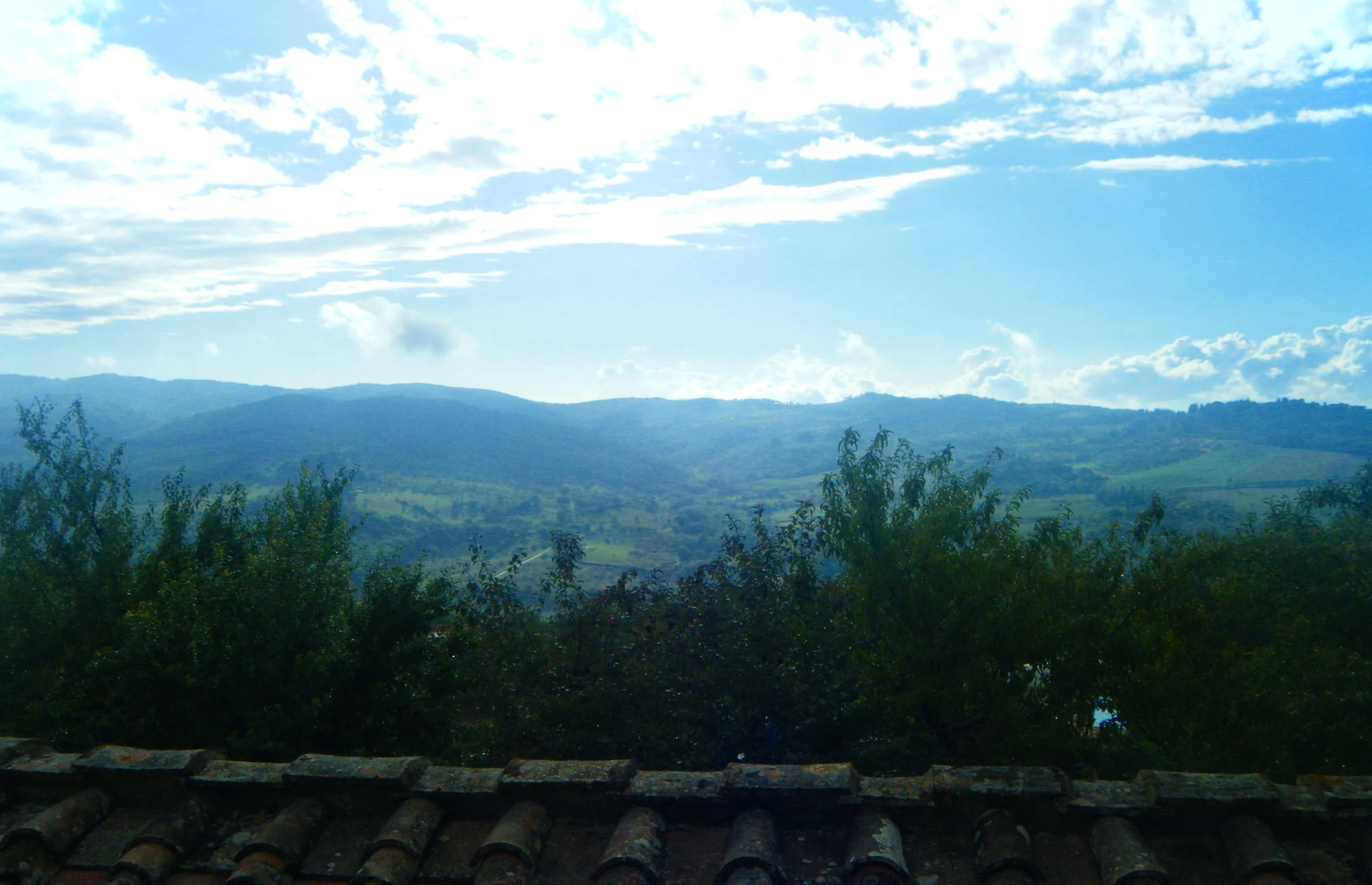 Fontodi. Chianti Classico, Italy