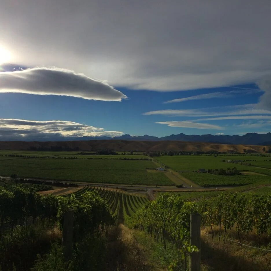 Diary of  a Shopkeeper, 24th May