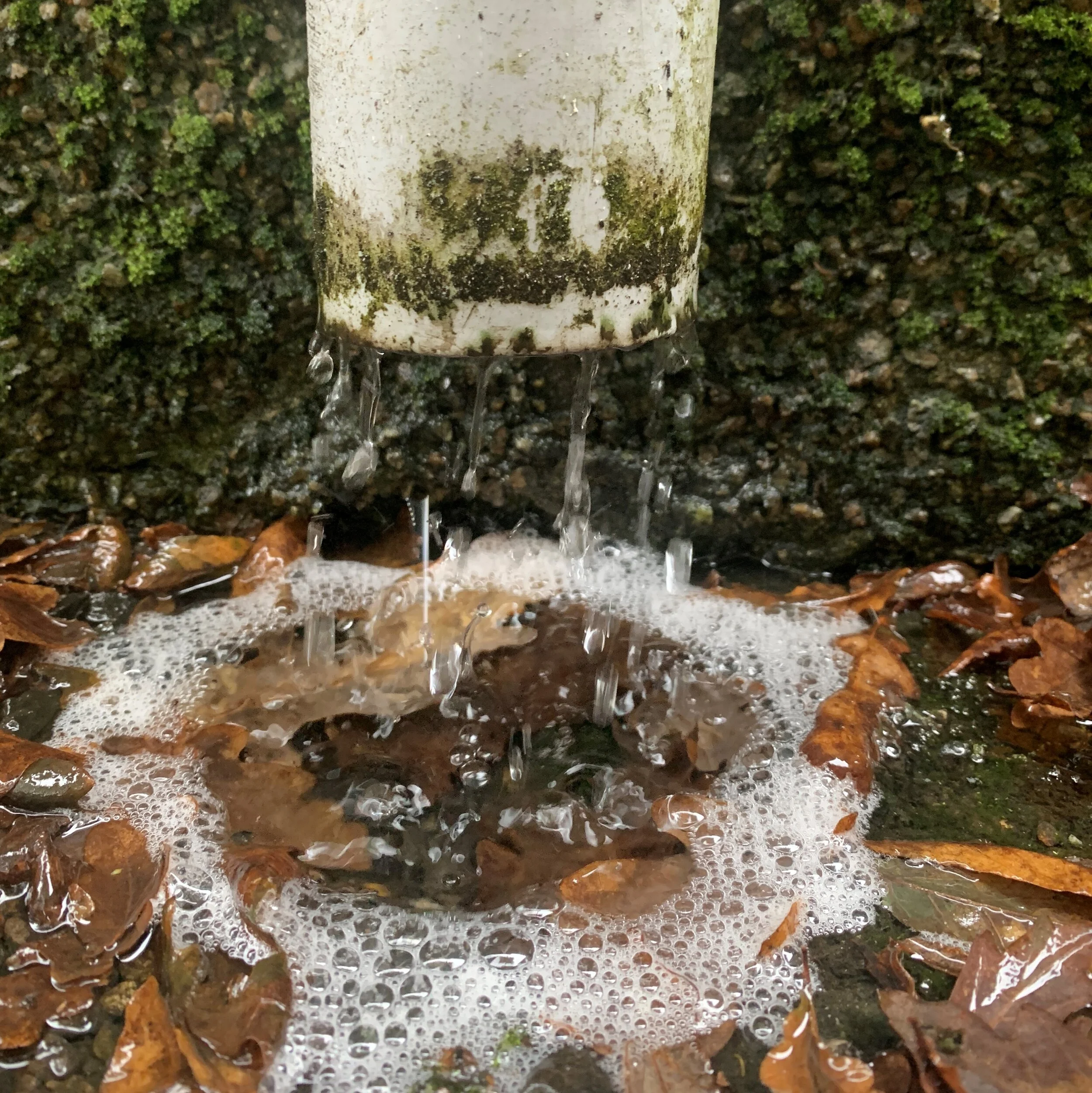 Diary of a Shopkeeper, 4th October