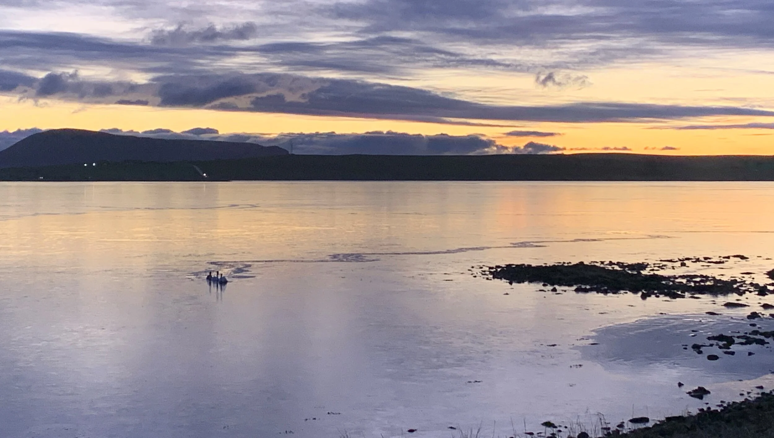 Diary of a Shopkeeper, 31st January