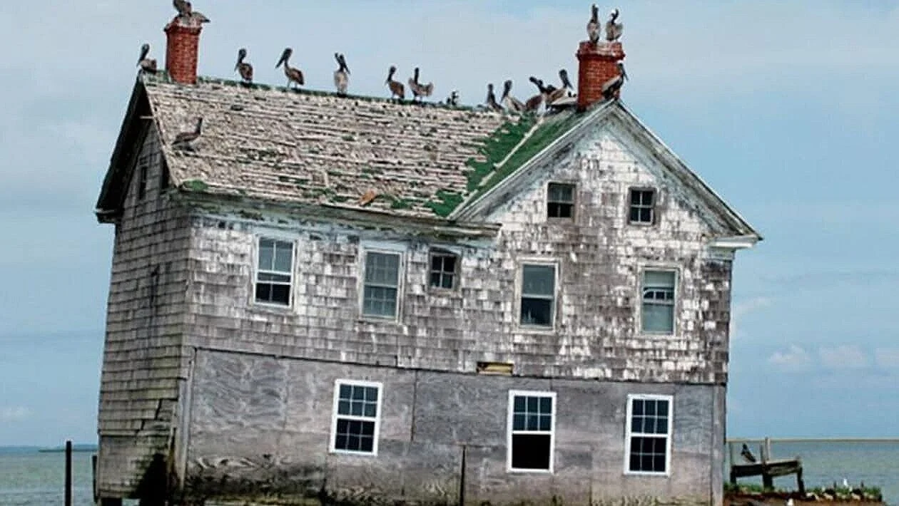 Diary of a Shopkeeper, 10th October