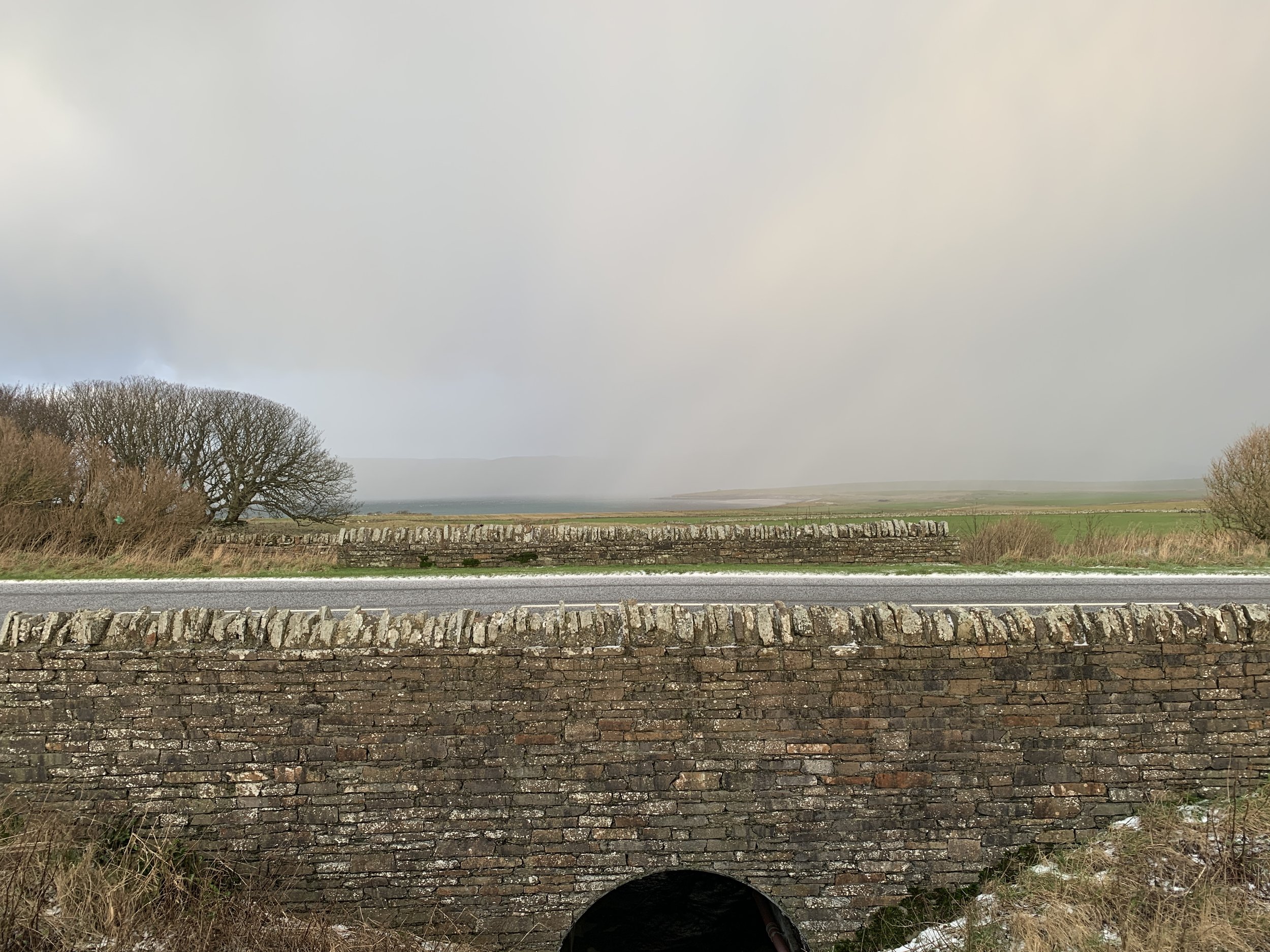 Diary of a Shopkeeper, 2nd January