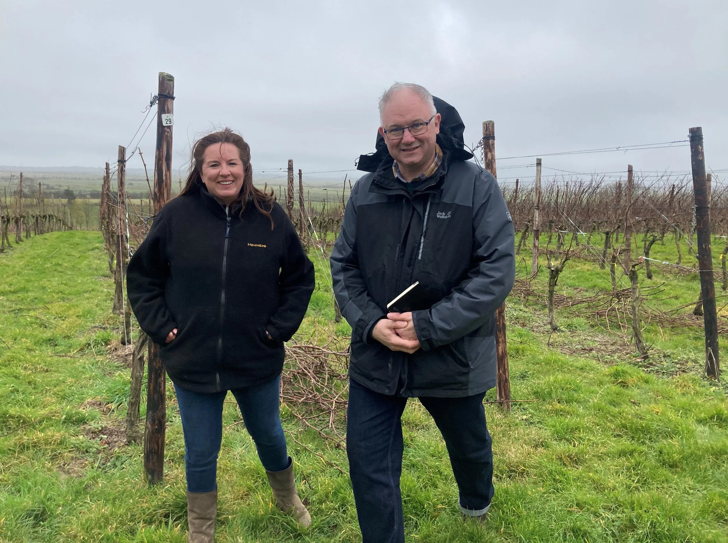 In an English Country Vineyard