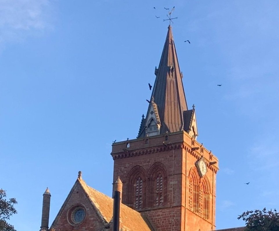 Diary of a Shopkeeper, 9th October 