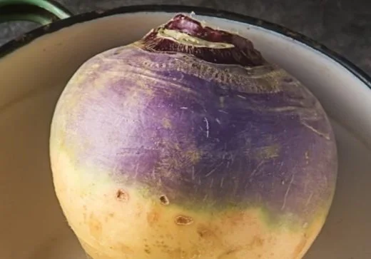 Diary of a Shopkeeper, 26th February