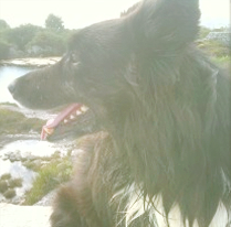 What I learned from Jo Jo