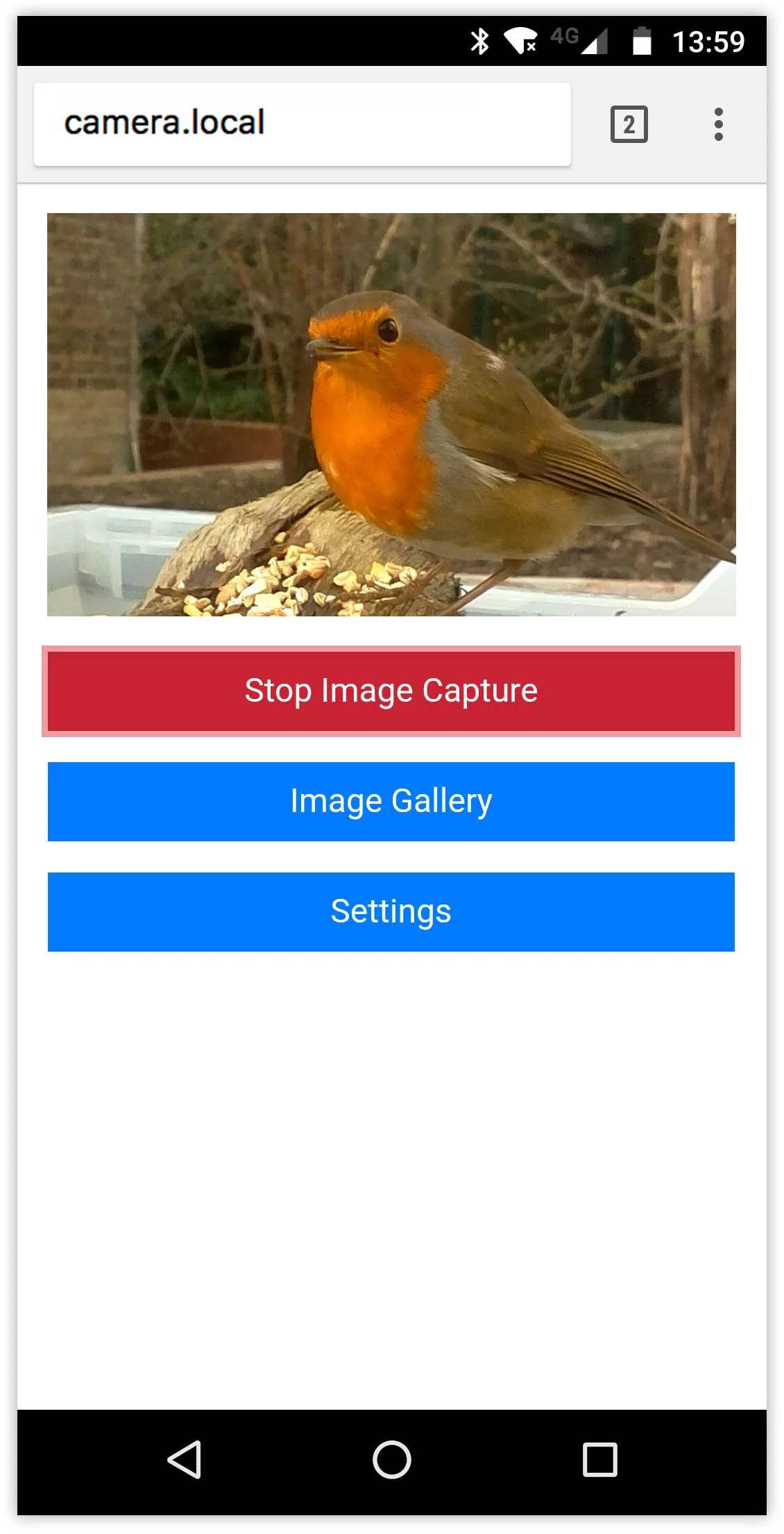Step Three.jpg